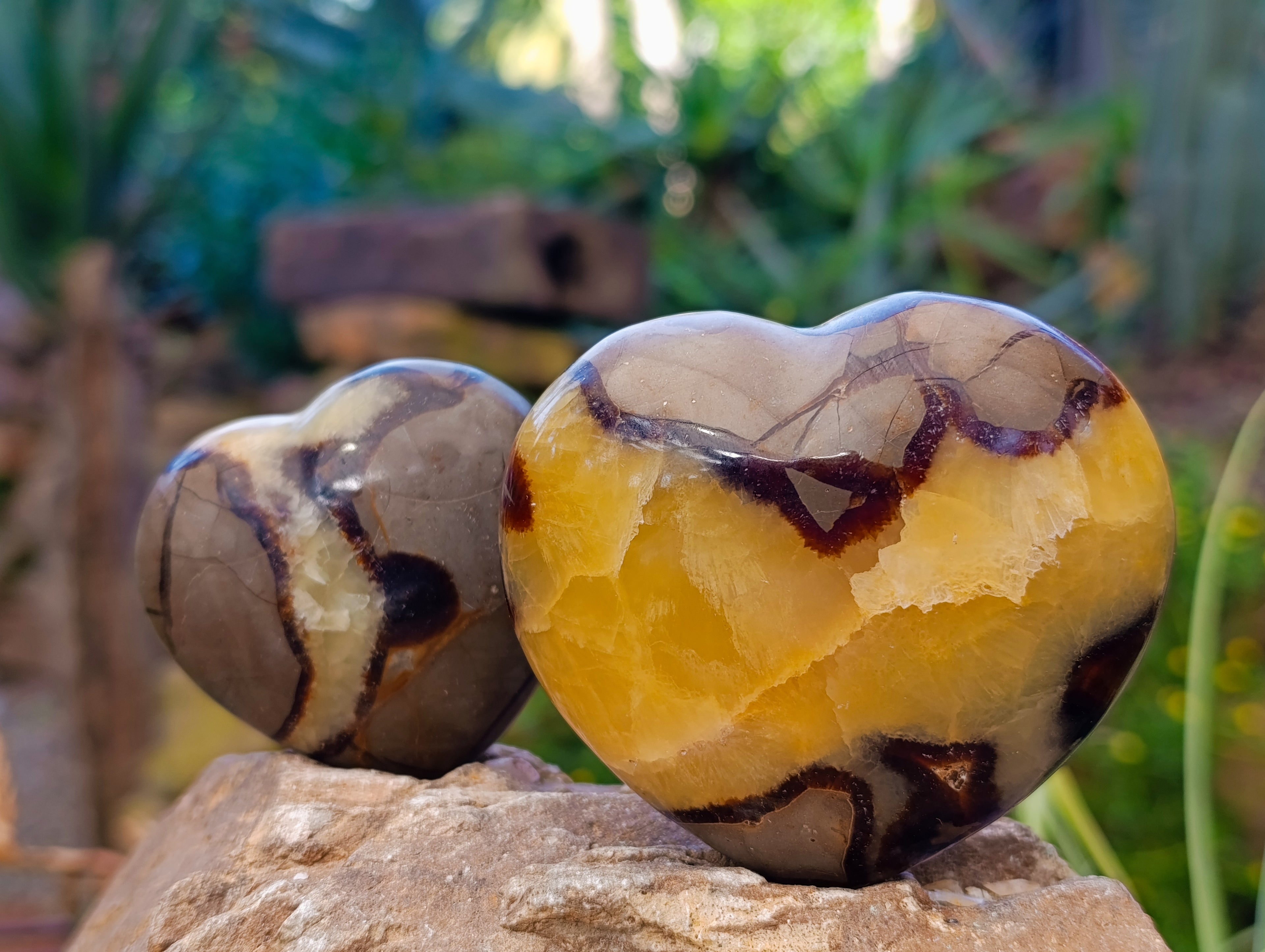 Polished Septerye Hearts x 6 From Mahajanga, Madagascar - Toprock Gemstones and Minerals 