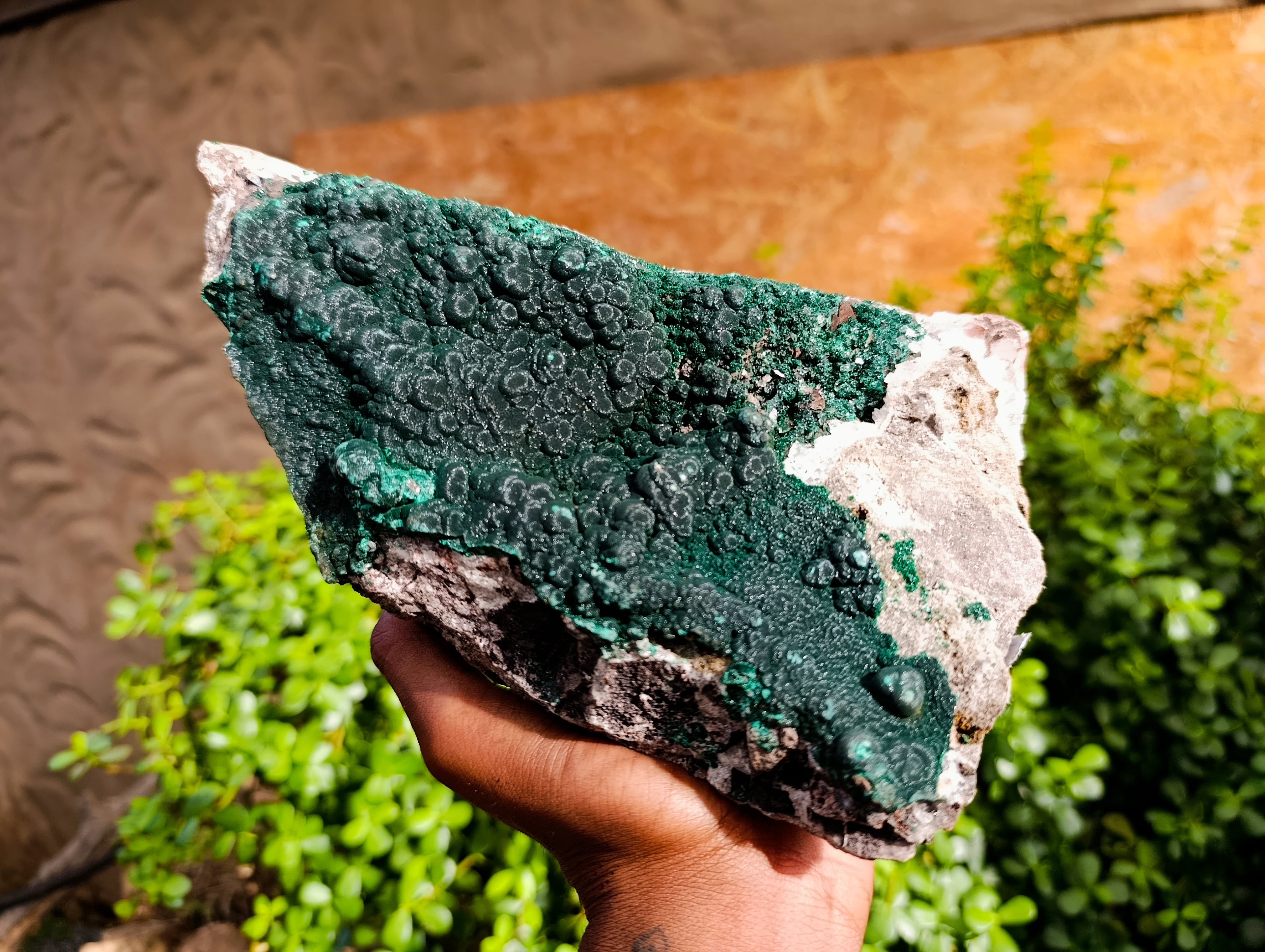 Natural Silky Ball Malachite On Matrix Specimen x 1 From Kasompe, Congo - Toprock Gemstones and Minerals 