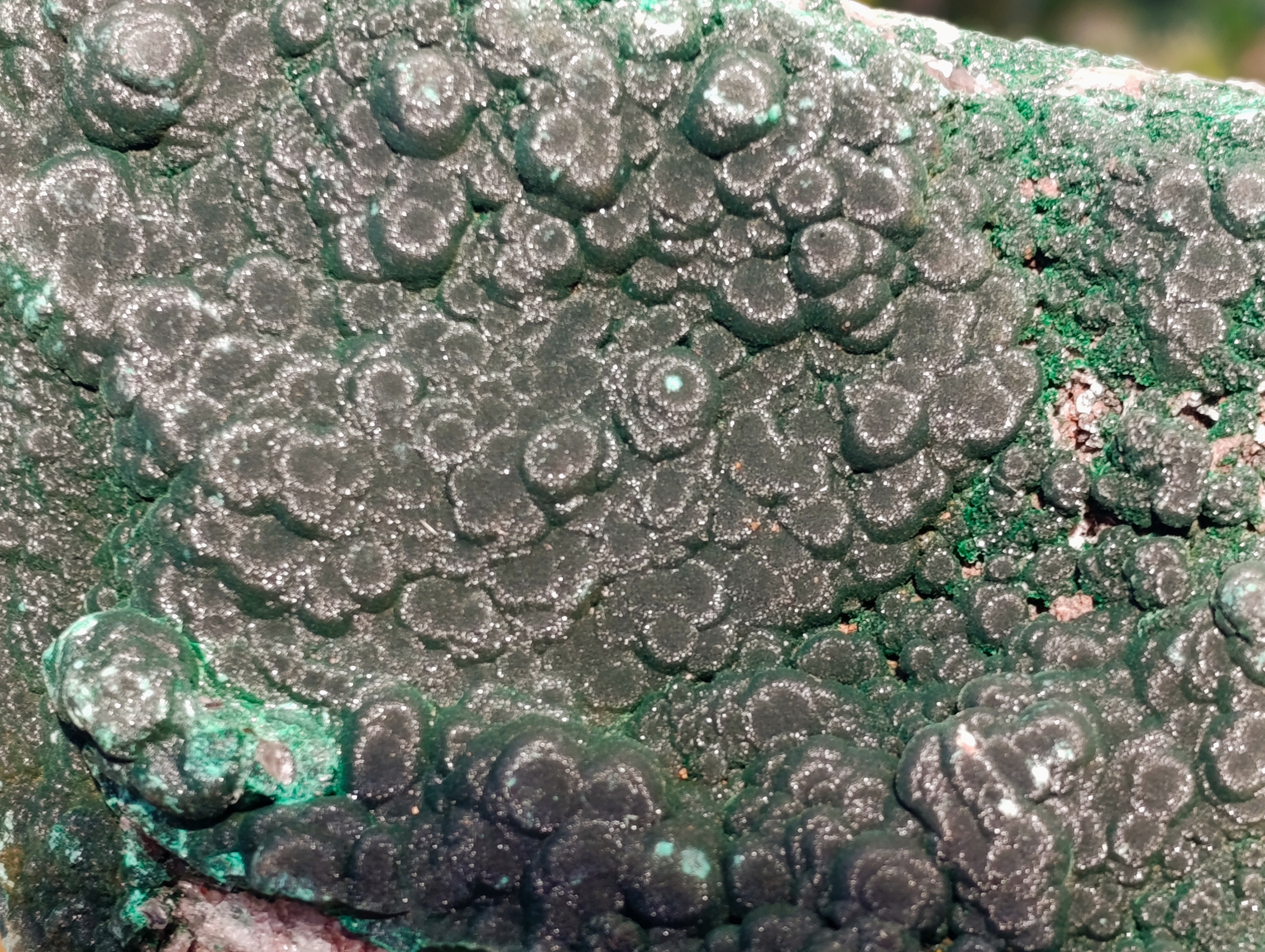 Natural Silky Ball Malachite On Matrix Specimen x 1 From Kasompe, Congo - Toprock Gemstones and Minerals 