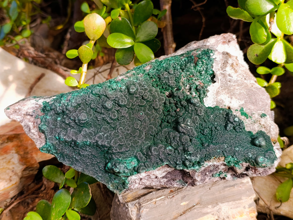 Natural Silky Ball Malachite On Matrix Specimen x 1 From Kasompe, Congo - Toprock Gemstones and Minerals 