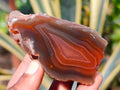 Polished On One Side Red Sashe River Agate Nodules x 12 From Zimbabwe - Toprock Gemstones and Minerals 