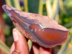 Polished On One Side Red Sashe River Agate Nodules x 12 From Zimbabwe - Toprock Gemstones and Minerals 