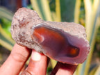 Polished On One Side Red Sashe River Agate Nodules x 12 From Zimbabwe - Toprock Gemstones and Minerals 