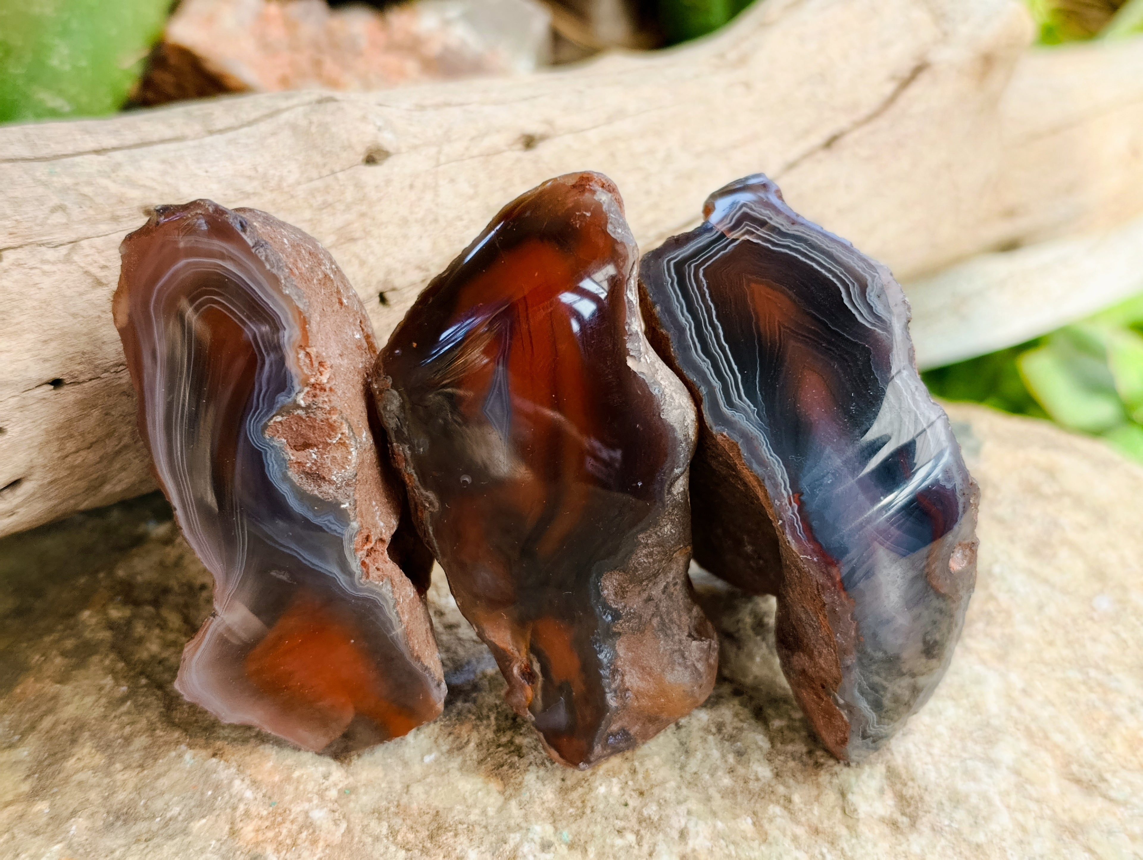 Polished On One Side Red Sashe River Agate Nodules x 12 From Zimbabwe - Toprock Gemstones and Minerals 