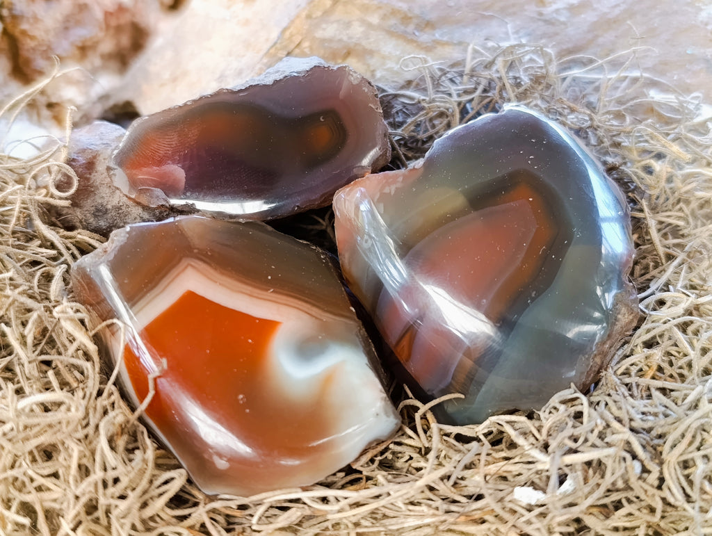 Polished On One Side Red Sashe River Agate Nodules x 12 From Zimbabwe - Toprock Gemstones and Minerals 