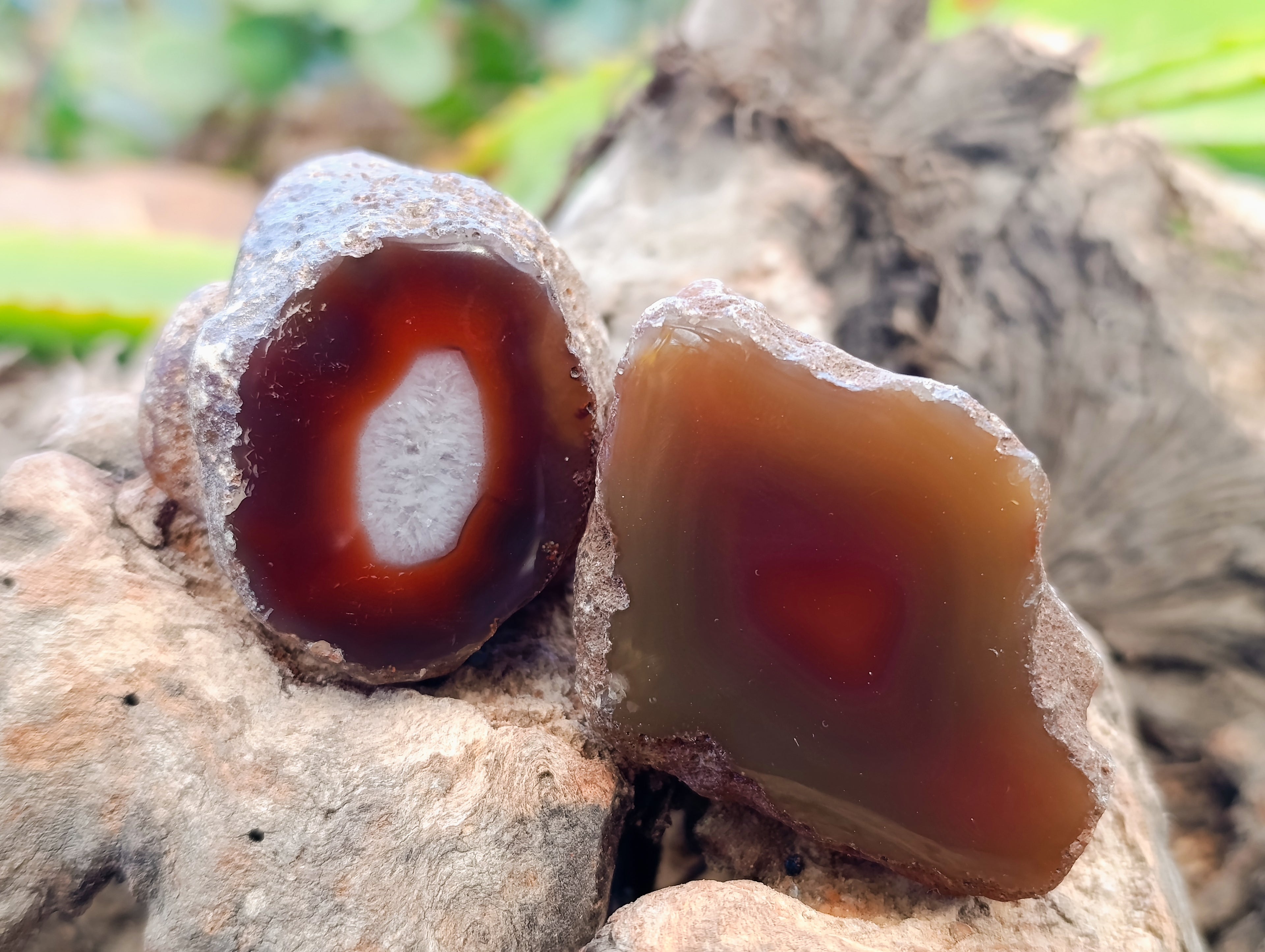 Polished On One Side Red Sashe River Agate Nodules x 12 From Zimbabwe - Toprock Gemstones and Minerals 