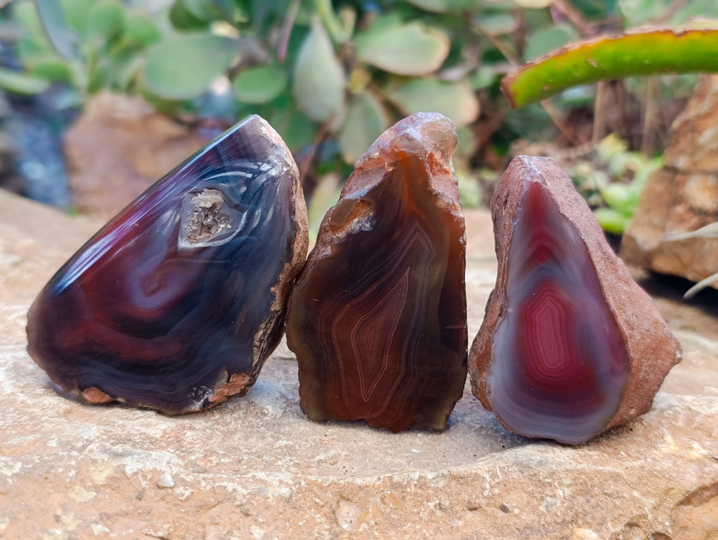 Polished On One Side Red Sashe River Agate Nodules x 12 From Zimbabwe - Toprock Gemstones and Minerals 