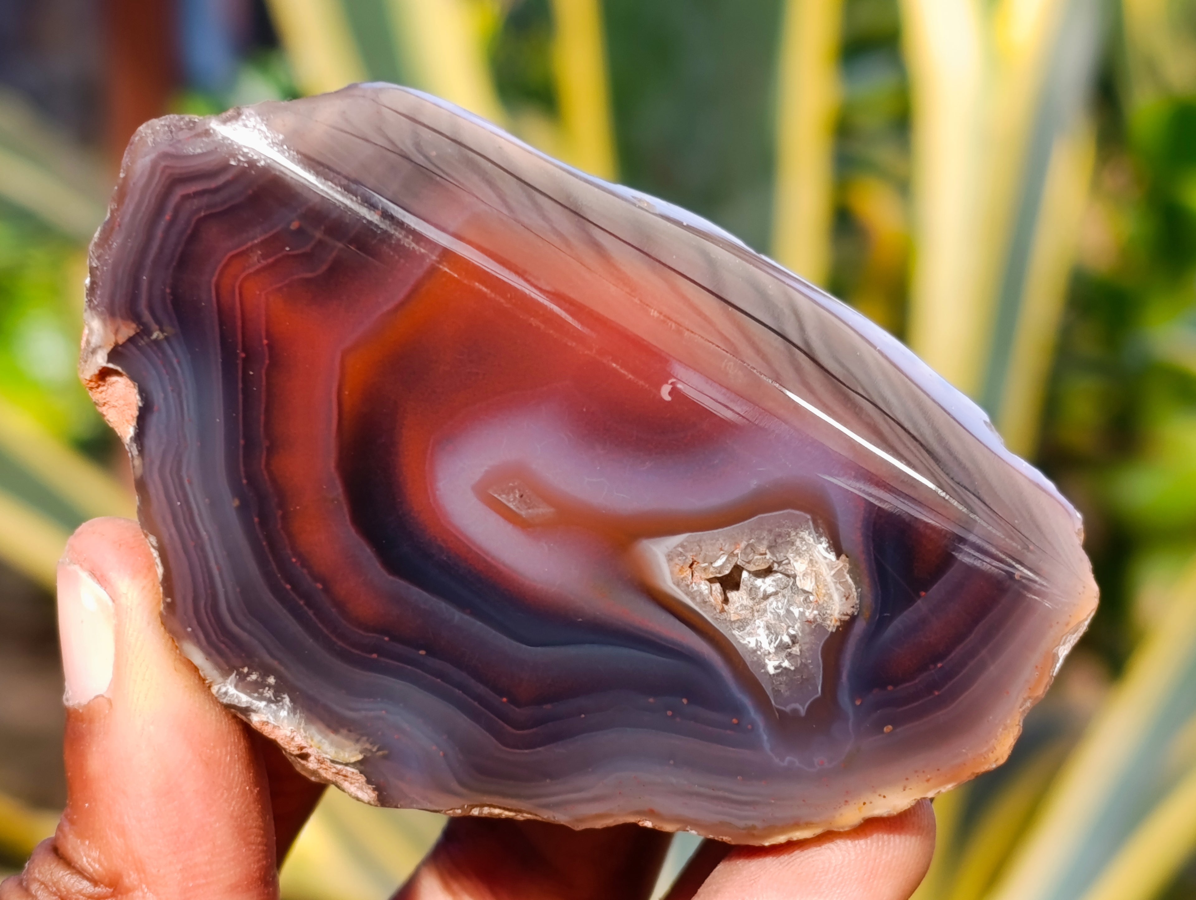 Polished On One Side Red Sashe River Agate Nodules x 12 From Zimbabwe - Toprock Gemstones and Minerals 