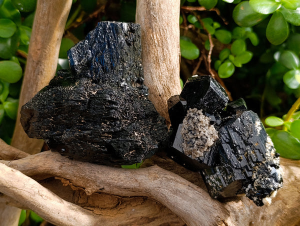 Natural Schorl Black Tourmaline Specimens x 3 From Erongo, Namibia - Toprock Gemstones and Minerals 