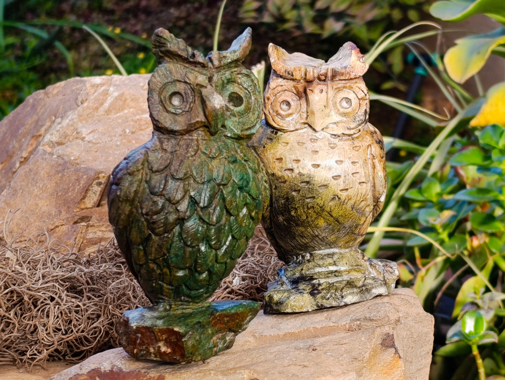 Polished Fluorescent Verdite Night Owls x 2 From Zimbabwe - Toprock Gemstones and Minerals 