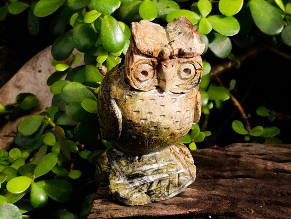 Polished Fluorescent Verdite Night Owls x 2 From Zimbabwe - Toprock Gemstones and Minerals 