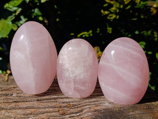 Polished Rose Quartz Standing Free Forms x 3 From Ambatondrazaka, Madagascar - Toprock Gemstones and Minerals 
