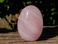 Polished Rose Quartz Standing Free Forms x 3 From Ambatondrazaka, Madagascar - Toprock Gemstones and Minerals 
