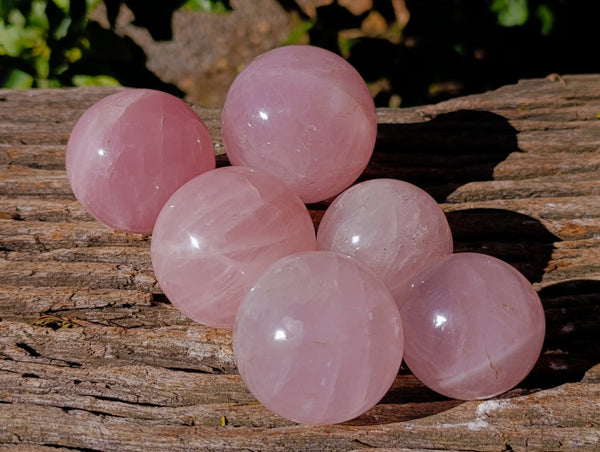 Polished A Grade Star Rose Quartz Spheres x 6 From Ambatondrazaka, Madagascar