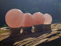 Polished A Grade Star Rose Quartz Spheres x 6 From Ambatondrazaka, Madagascar - Toprock Gemstones and Minerals 