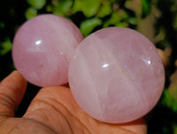 Polished A Grade Star Rose Quartz Spheres x 6 From Ambatondrazaka, Madagascar - Toprock Gemstones and Minerals 