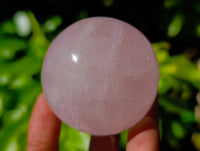Polished A Grade Star Rose Quartz Spheres x 6 From Ambatondrazaka, Madagascar - Toprock Gemstones and Minerals 
