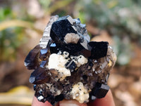 Natural Schorl Black Tourmaline and Smokey Quartz with Hyalite Opal x 12 From Erongo, Namibia - Toprock Gemstones and Minerals 