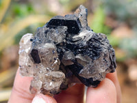 Natural Schorl Black Tourmaline and Smokey Quartz with Hyalite Opal x 12 From Erongo, Namibia - Toprock Gemstones and Minerals 
