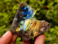 Polished On One Side Labradorite Plates x 24 From Tulear, Madagascar - Toprock Gemstones and Minerals 