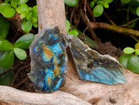 Polished On One Side Labradorite Plates x 24 From Tulear, Madagascar - Toprock Gemstones and Minerals 