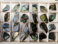 Polished On One Side Labradorite Plates x 24 From Tulear, Madagascar - Toprock Gemstones and Minerals 