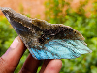 Polished On One Side Labradorite Plates x 24 From Tulear, Madagascar - Toprock Gemstones and Minerals 