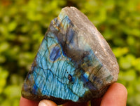 Polished On One Side Labradorite Plates x 24 From Tulear, Madagascar - Toprock Gemstones and Minerals 