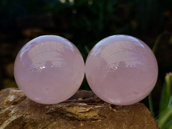 Polished AA Grade Star Rose Quartz Spheres x 8 From Ambatondrazaka, Madagascar