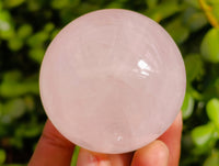 Polished AA Grade Star Rose Quartz Spheres x 8 From Ambatondrazaka, Madagascar - Toprock Gemstones and Minerals 