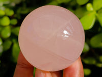 Polished AA Grade Star Rose Quartz Spheres x 8 From Ambatondrazaka, Madagascar - Toprock Gemstones and Minerals 