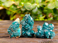 Natural Dioptase On Dolomite Specimens x 12 From Likasi, Congo - Toprock Gemstones and Minerals 