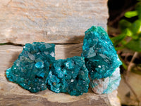 Natural Dioptase On Dolomite Specimens x 12 From Likasi, Congo - Toprock Gemstones and Minerals 