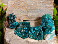 Natural Dioptase On Dolomite Specimens x 12 From Likasi, Congo - Toprock Gemstones and Minerals 