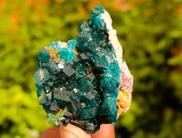 Natural Dioptase On Dolomite Specimens x 12 From Likasi, Congo - Toprock Gemstones and Minerals 