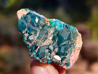 Natural Dioptase On Dolomite Specimens x 12 From Likasi, Congo - Toprock Gemstones and Minerals 