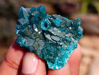 Natural Dioptase On Dolomite Specimens x 12 From Likasi, Congo - Toprock Gemstones and Minerals 