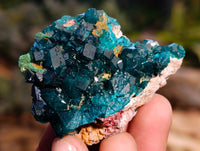 Natural Dioptase On Dolomite Specimens x 12 From Likasi, Congo - Toprock Gemstones and Minerals 