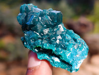 Natural Dioptase On Dolomite Specimens x 12 From Likasi, Congo - Toprock Gemstones and Minerals 