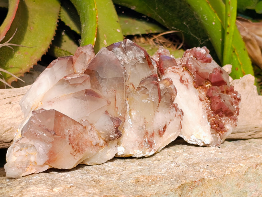 Natural Red Hematoid Quartz Clusters x 3 From Karoi, Zimbabwe - Toprock Gemstones and Minerals 