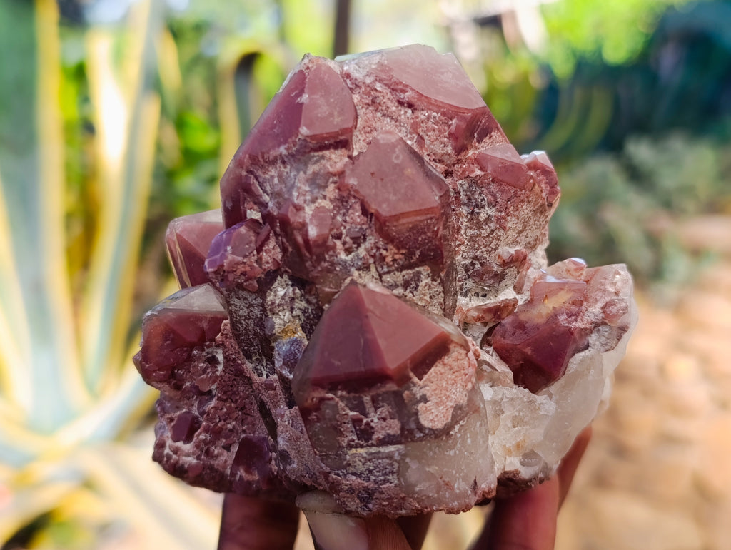 Natural Red Hematoid Quartz Clusters x 3 From Karoi, Zimbabwe - Toprock Gemstones and Minerals 