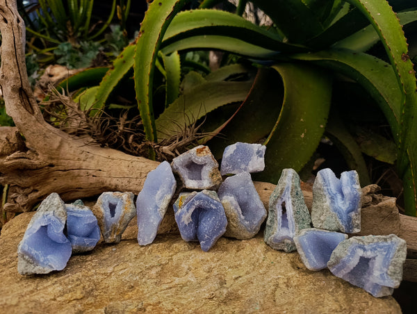 Natural Blue Lace Agate Geodes x 12 From Nsanje, Malawi