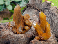 Natural Golden Limonite Fairy Spirit Quartz Clusters x 24 From South Africa - Toprock Gemstones and Minerals 