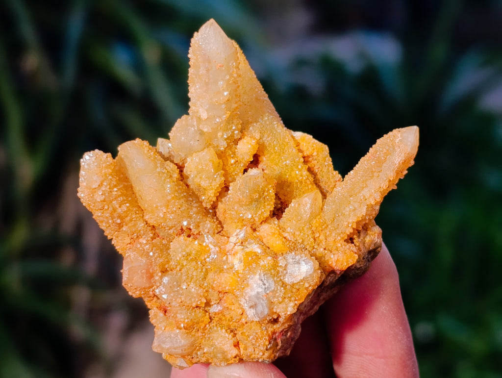 Natural Golden Limonite Fairy Spirit Quartz Clusters x 24 From South Africa - Toprock Gemstones and Minerals 