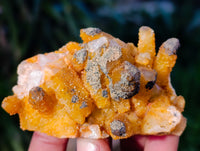 Natural Golden Limonite Fairy Spirit Quartz Clusters x 24 From South Africa - Toprock Gemstones and Minerals 