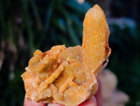 Natural Golden Limonite Fairy Spirit Quartz Clusters x 24 From South Africa - Toprock Gemstones and Minerals 