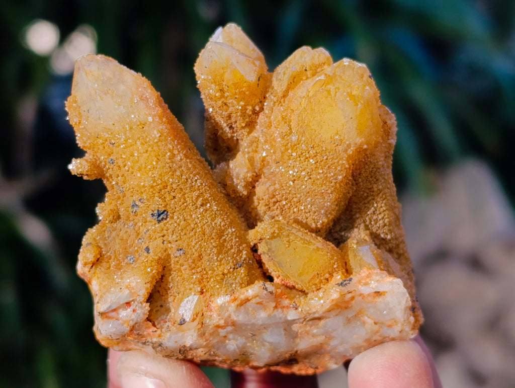 Natural Golden Limonite Fairy Spirit Quartz Clusters x 24 From South Africa - Toprock Gemstones and Minerals 