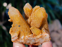 Natural Golden Limonite Fairy Spirit Quartz Clusters x 24 From South Africa - Toprock Gemstones and Minerals 