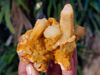 Natural Golden Limonite Fairy Spirit Quartz Clusters x 24 From South Africa - Toprock Gemstones and Minerals 