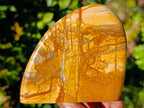 Polished Picture Stone Jasper Standing Free Forms x 3 From Ais-Ais, Namibia - Toprock Gemstones and Minerals 